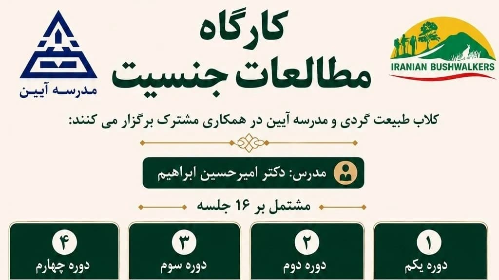 مطالعات جنسیت