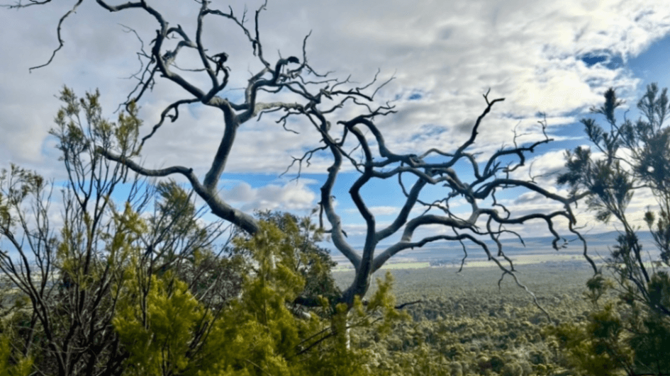 You Yangs Regional Park