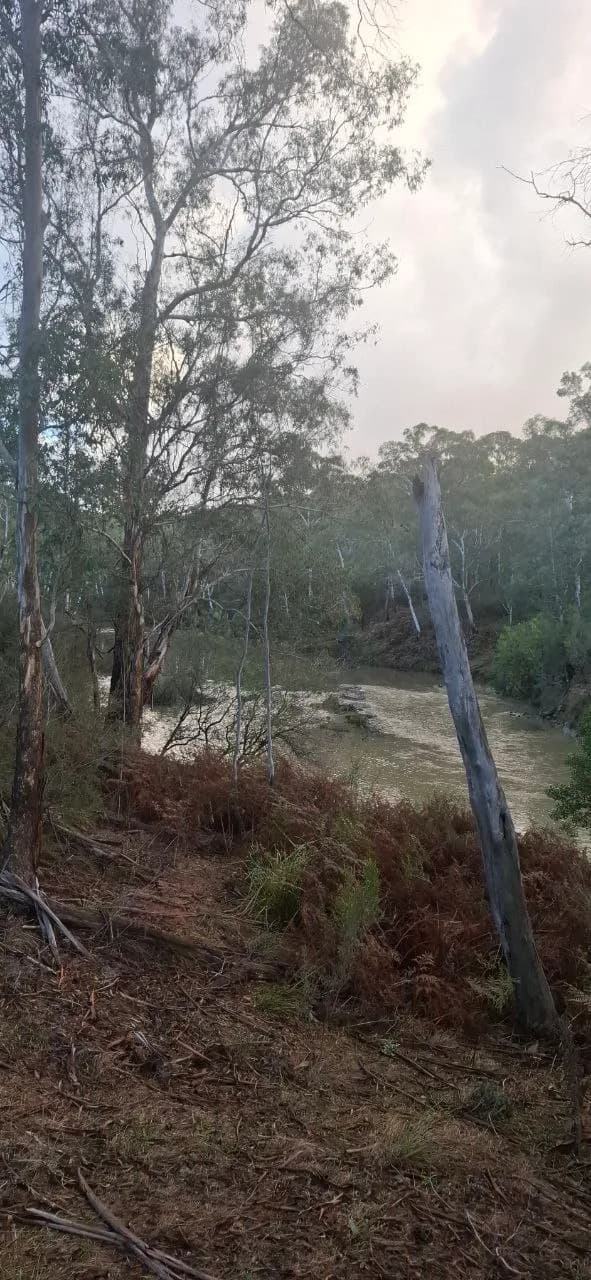 North Yarra