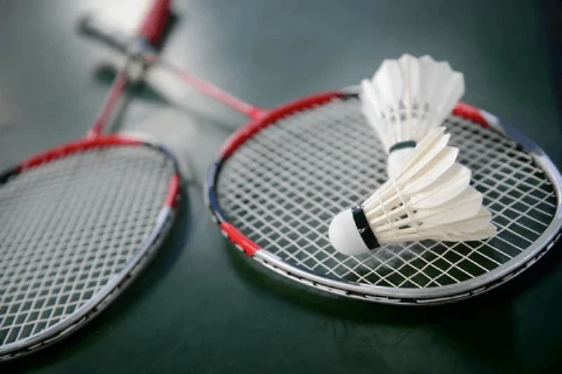 Friendly Badminton Match(001)