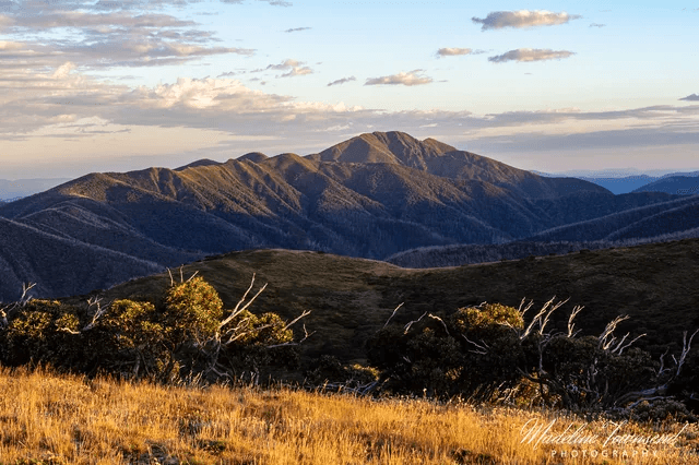 بلندترین قله ایالت ویکتوریا Mt Bogong