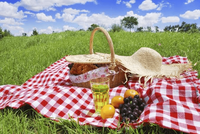 Family picnic - Christmas Hills